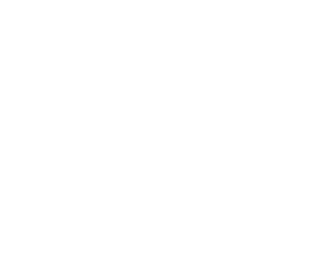 Association des infirmières praticiennes spécialisées du Québec